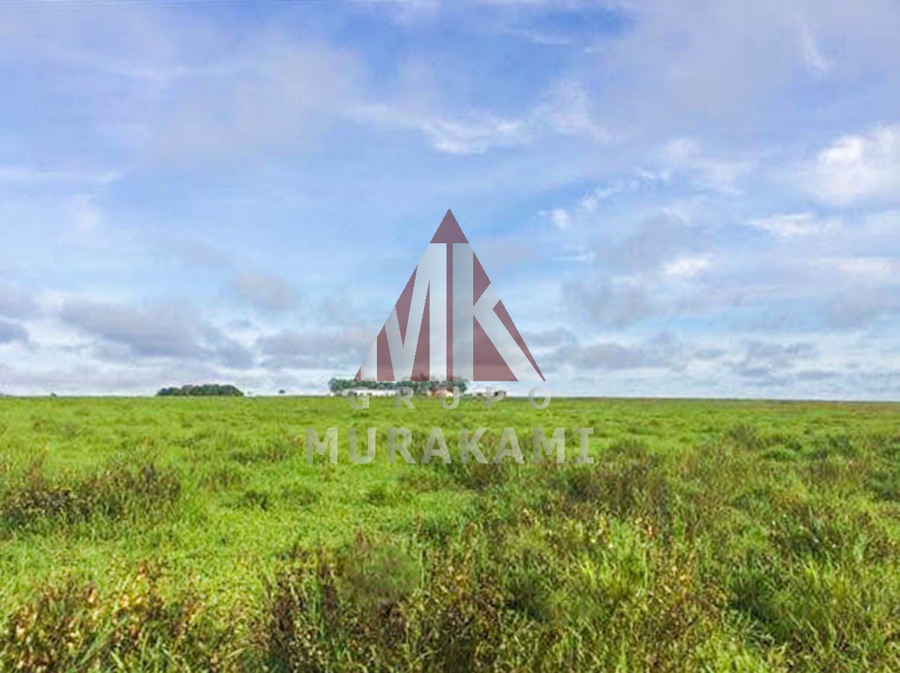 Fazenda à venda com 1 quarto, 10830m² - Foto 9