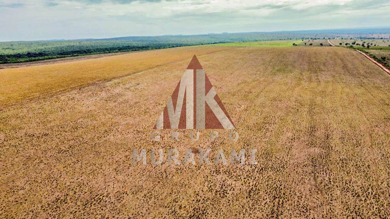 Fazenda-Sítio-Chácara, 8703 m² - Foto 8