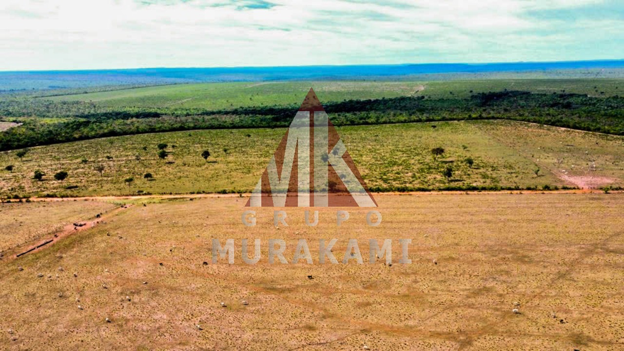 Fazenda-Sítio-Chácara, 8703 m² - Foto 1