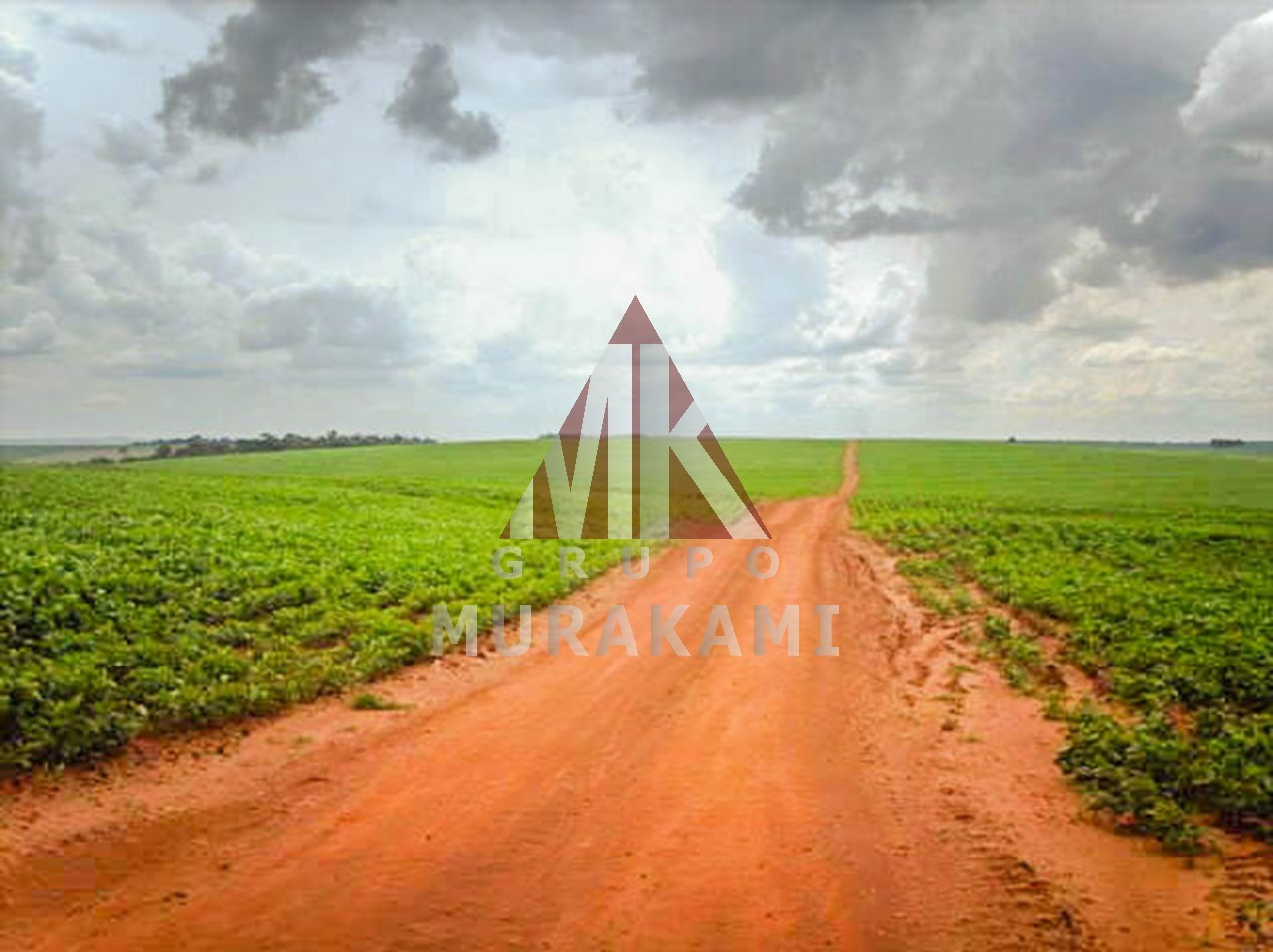 Fazenda-Sítio-Chácara, 400 m² - Foto 1