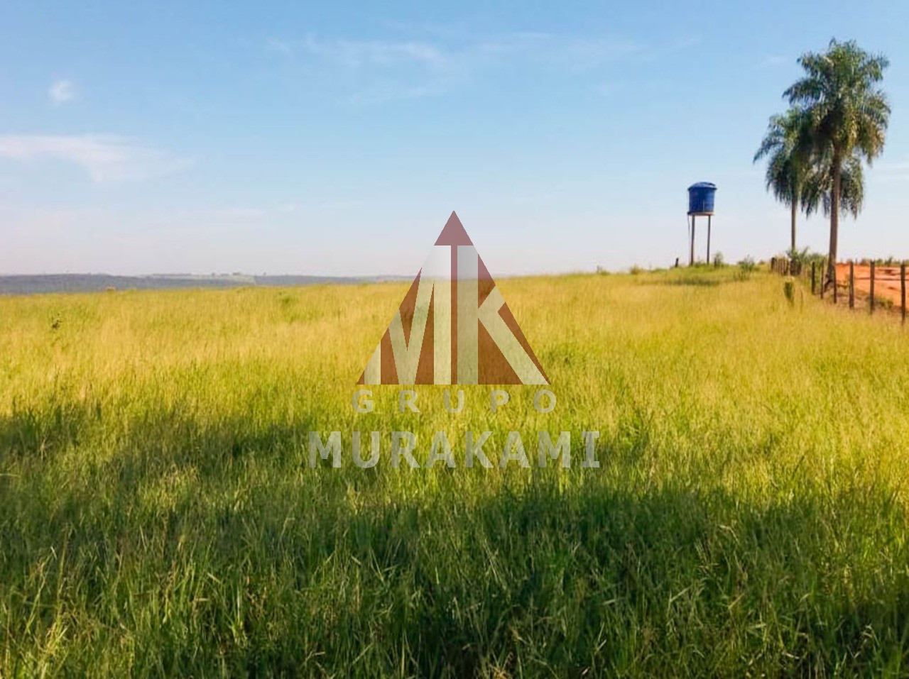 Fazenda-Sítio-Chácara, 2000 m² - Foto 5