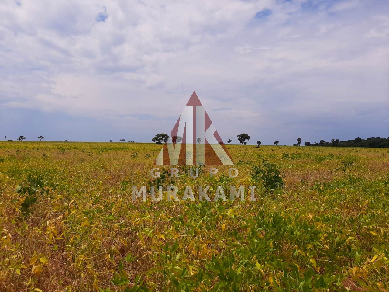 Fazenda-Sítio-Chácara, 564 m² - Foto 1