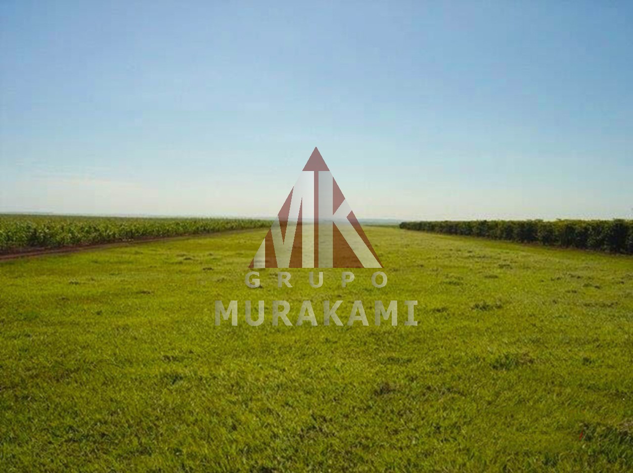 Fazenda-Sítio-Chácara, 872 m² - Foto 1