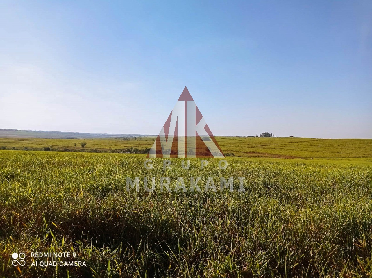 Fazenda-Sítio-Chácara, 250 m² - Foto 3