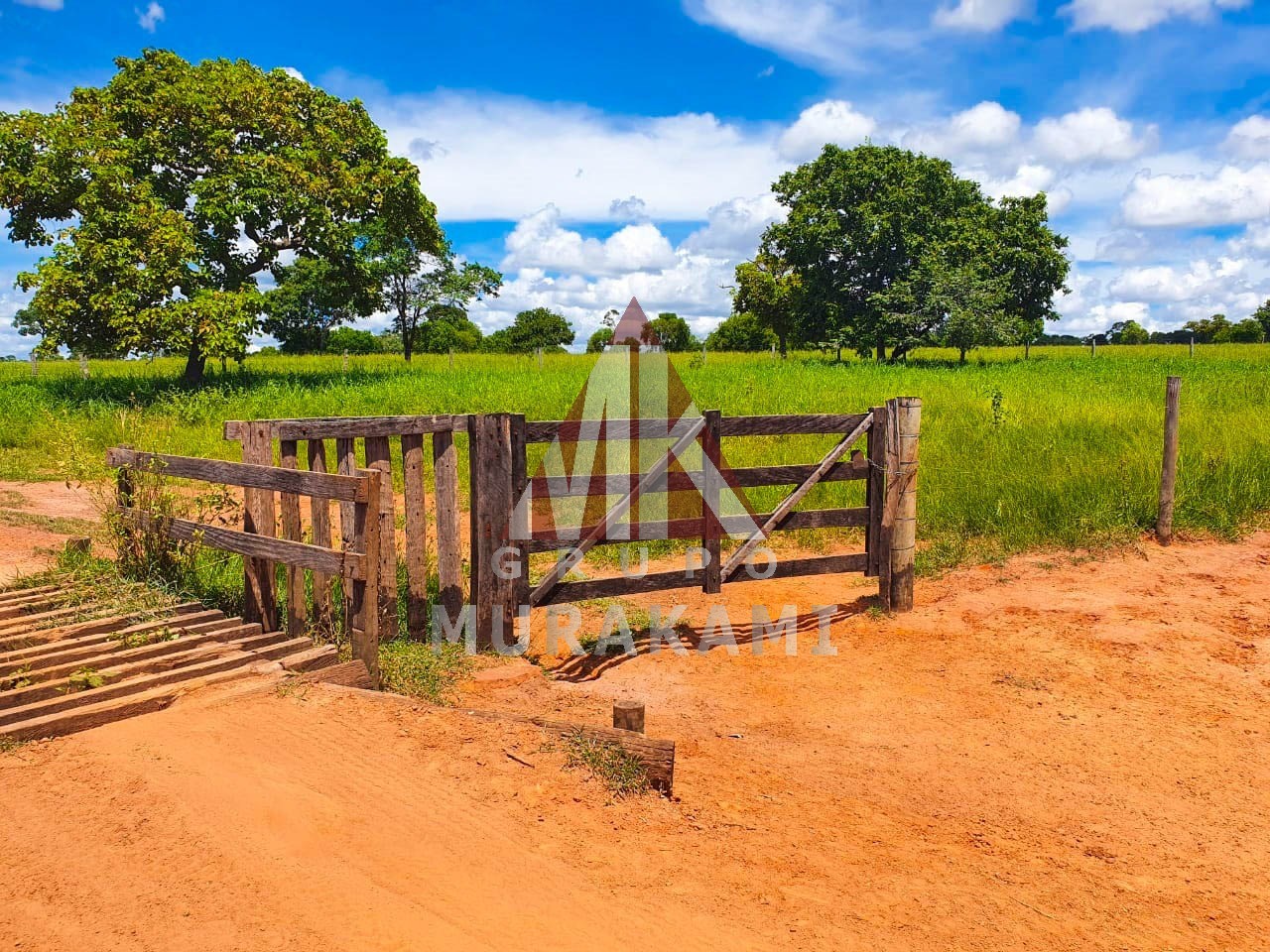 Fazenda-Sítio-Chácara, 2531 m² - Foto 4