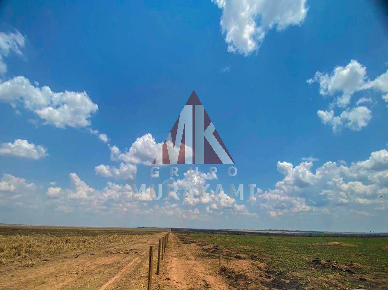 Fazenda à venda com 1 quarto, 8800m² - Foto 2