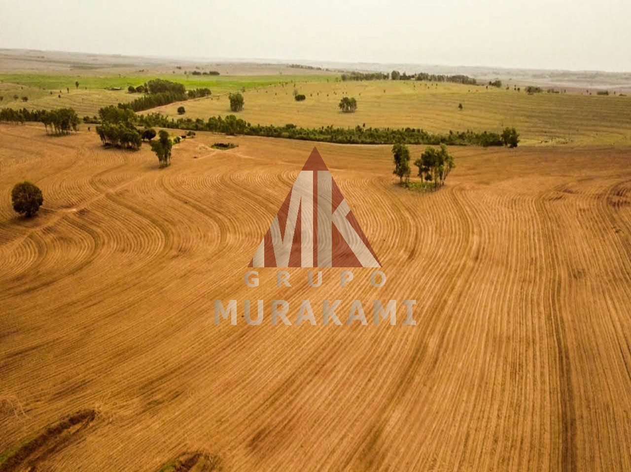 Fazenda à venda com 6 quartos, 971m² - Foto 5