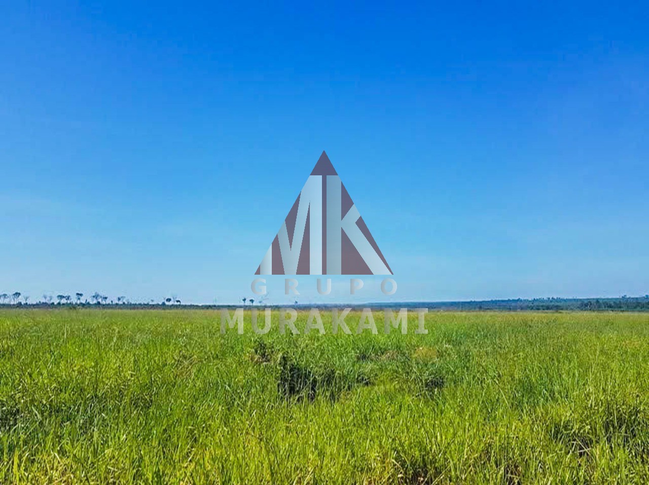Fazenda à venda com 1 quarto, 8800m² - Foto 1