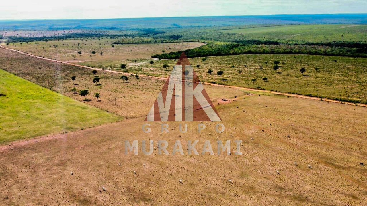 Fazenda-Sítio-Chácara, 8703 m² - Foto 7