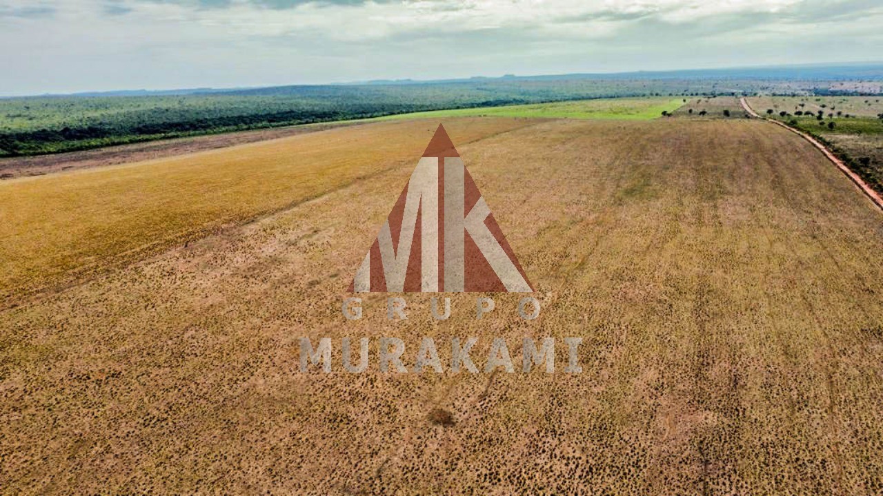 Fazenda-Sítio-Chácara, 8703 m² - Foto 12