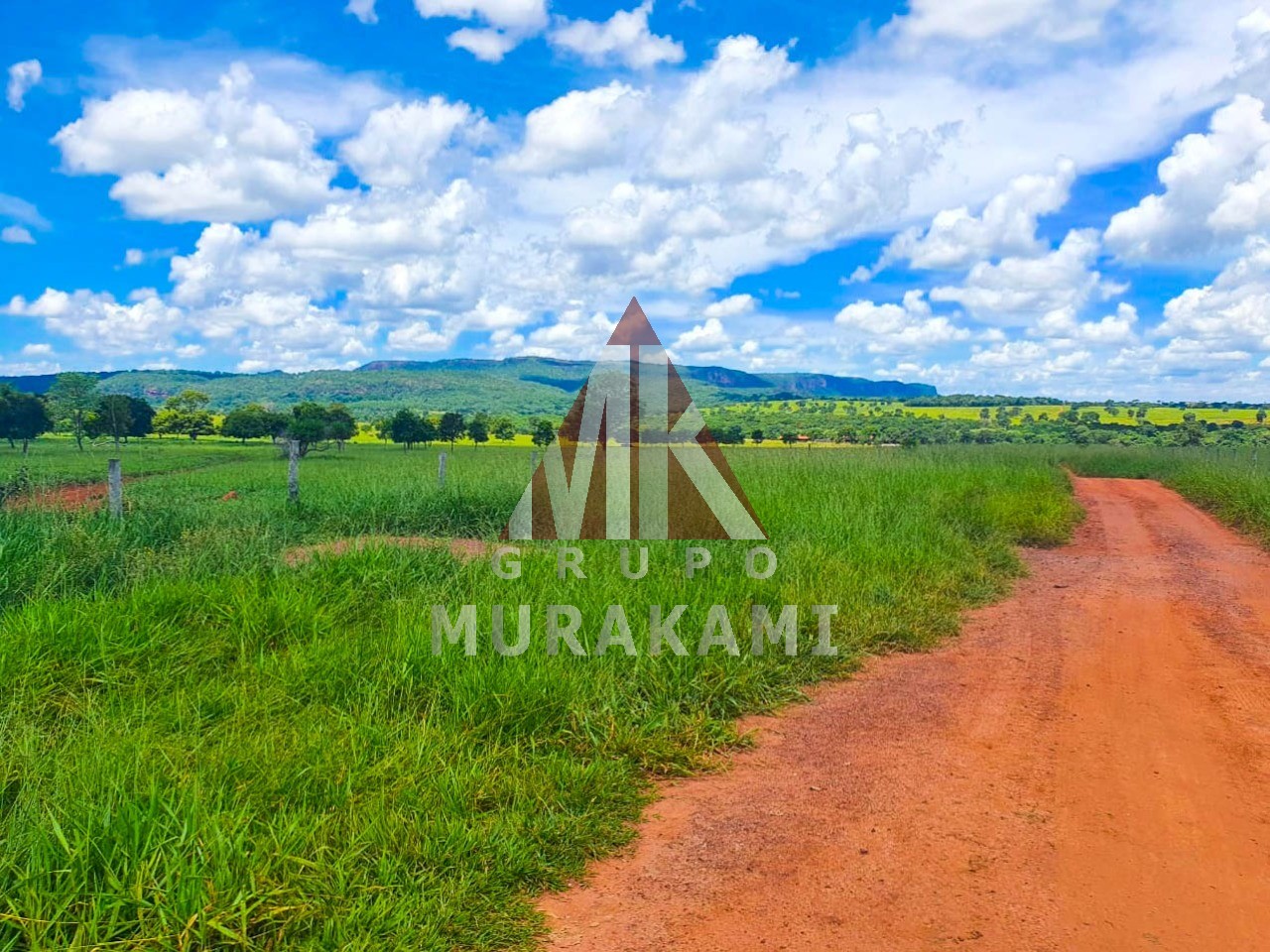 Fazenda-Sítio-Chácara, 2531 m² - Foto 10