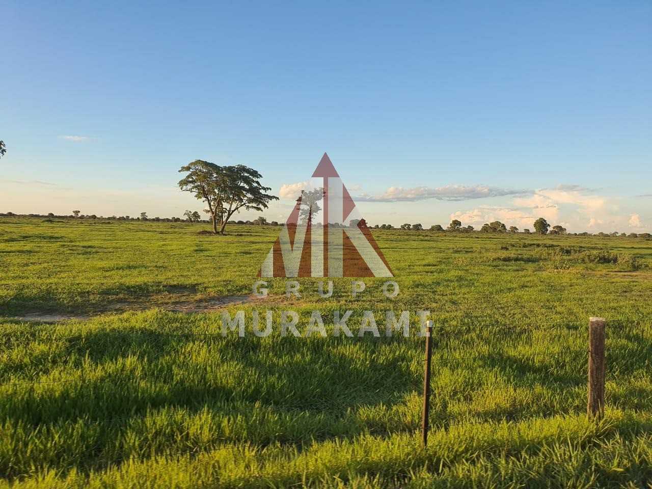 Terreno, 2 hectares - Foto 1