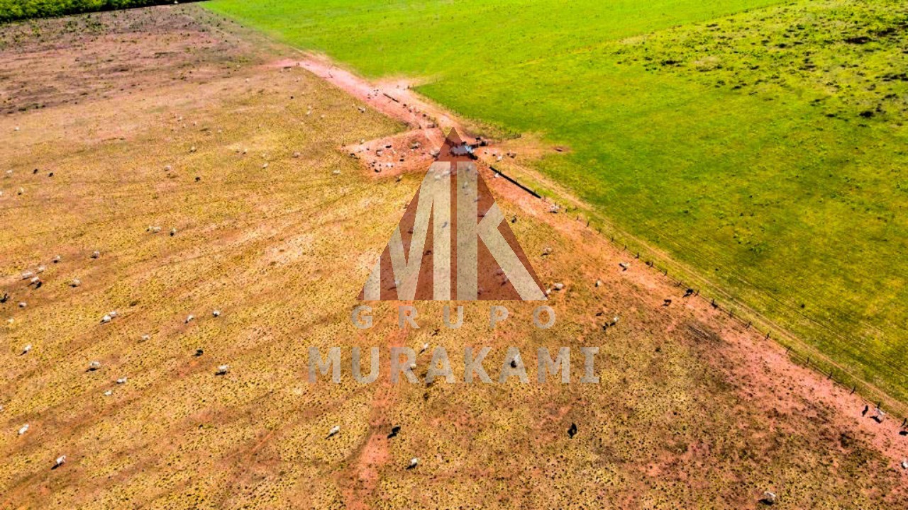 Fazenda-Sítio-Chácara, 8703 m² - Foto 5