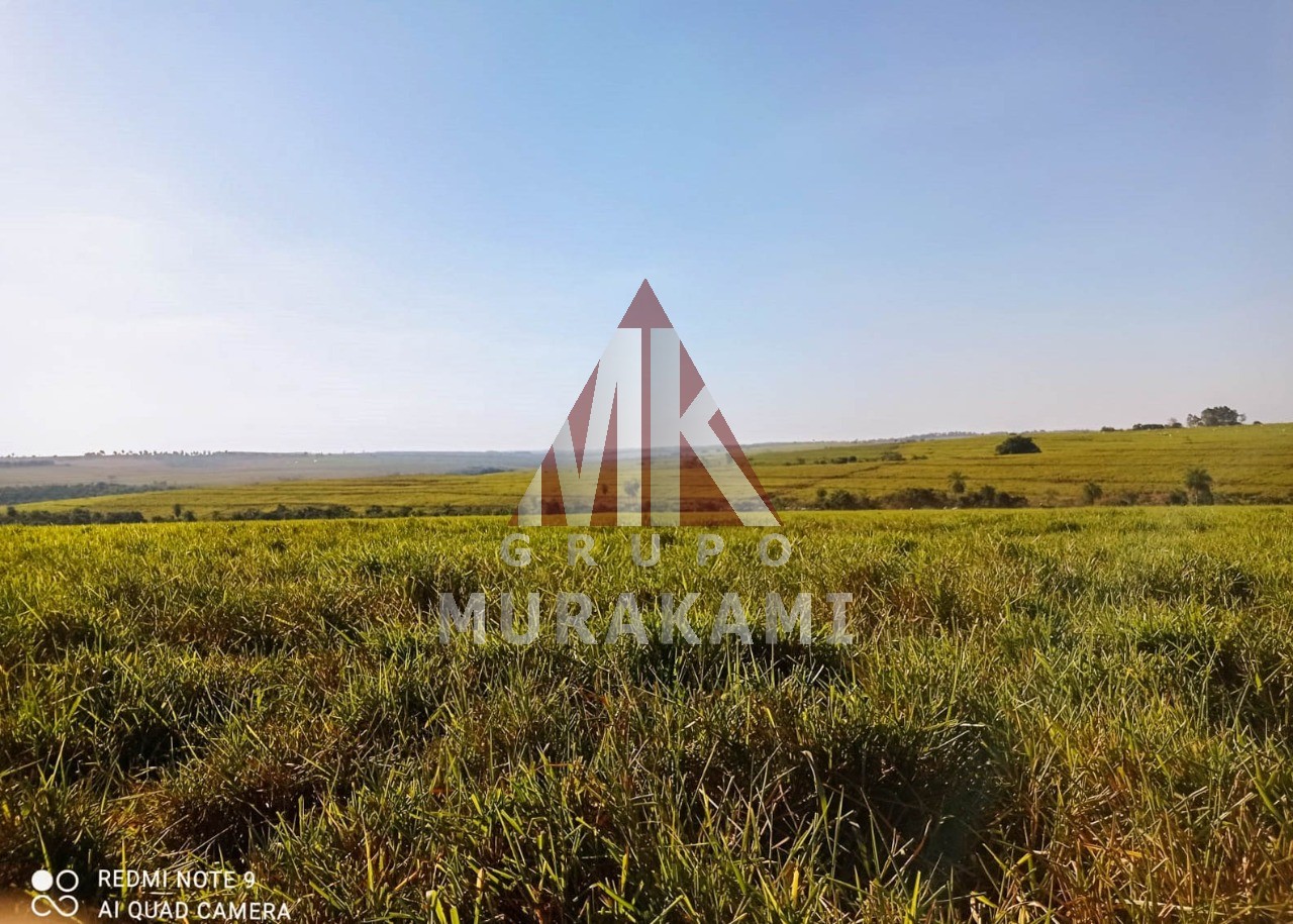 Fazenda-Sítio-Chácara, 250 m² - Foto 1