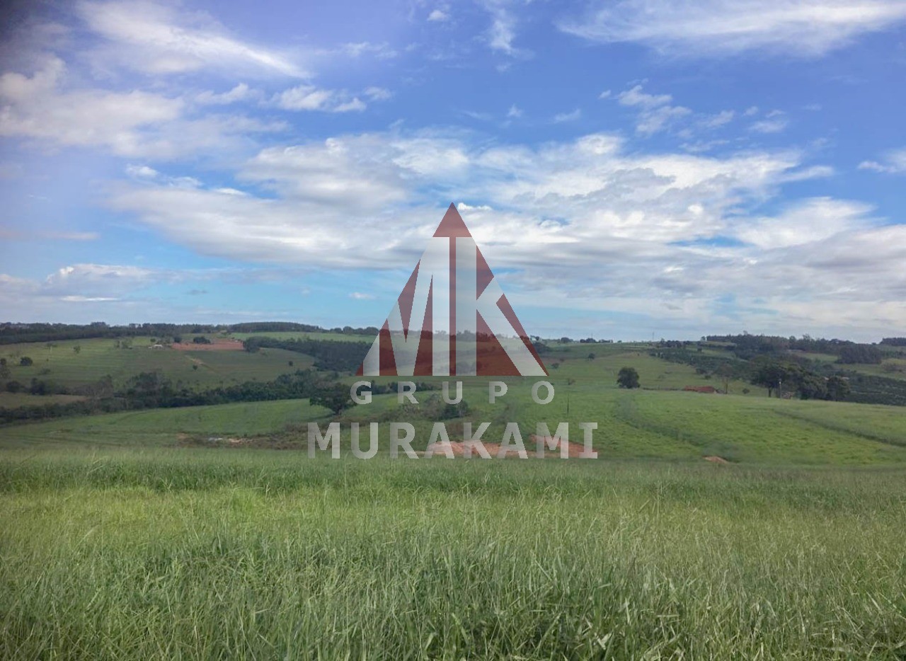 Fazenda-Sítio-Chácara, 250 m² - Foto 5