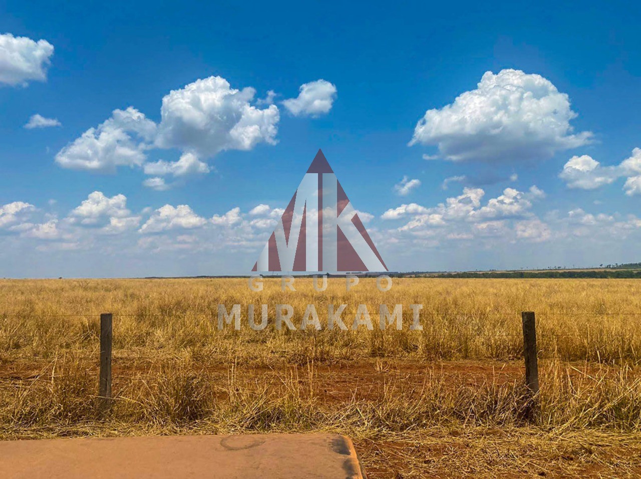Fazenda à venda com 1 quarto, 8800m² - Foto 3