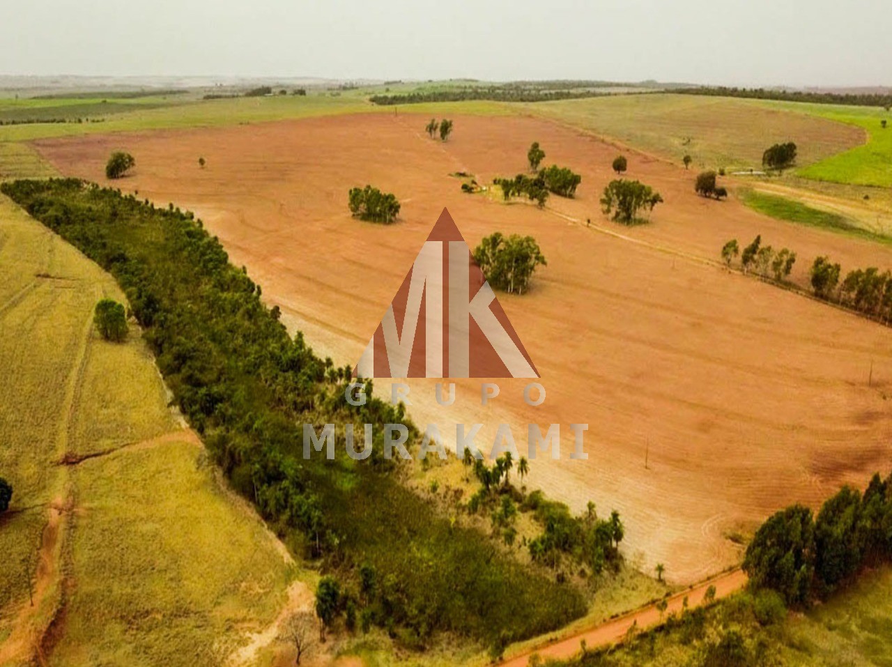 Fazenda à venda com 6 quartos, 971m² - Foto 4
