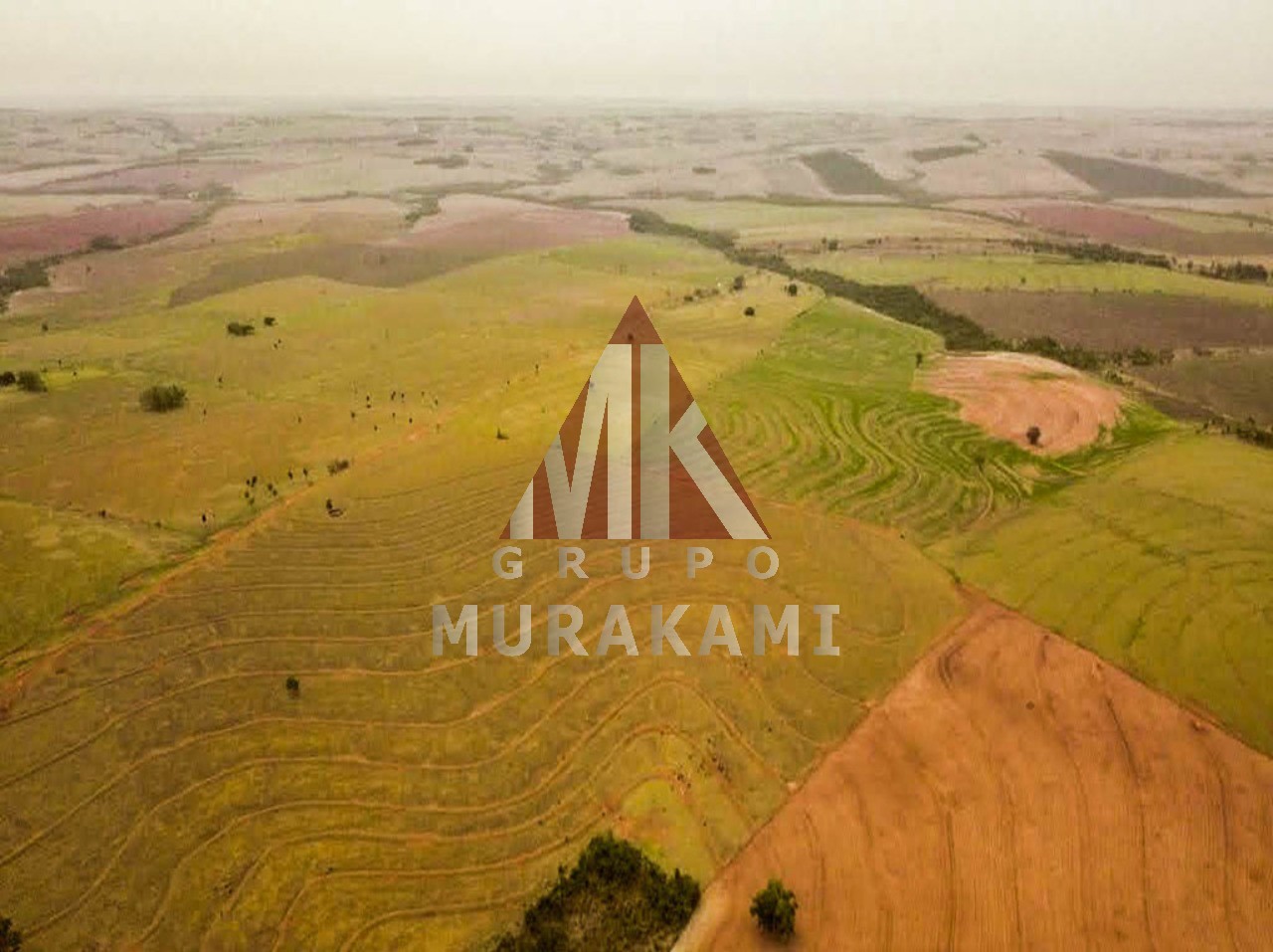 Fazenda à venda com 6 quartos, 971m² - Foto 1