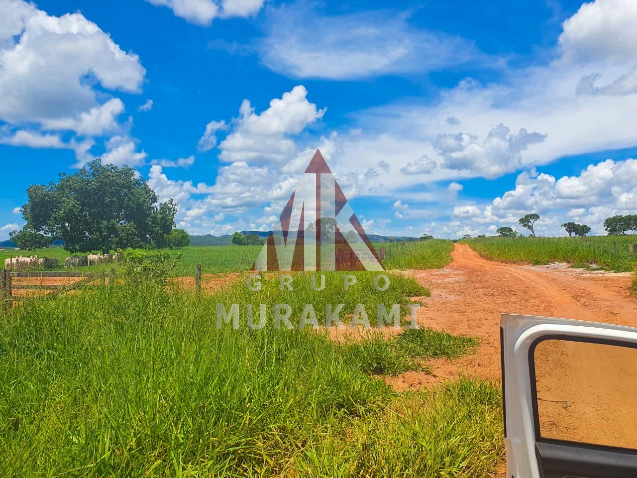 Fazenda-Sítio-Chácara, 2531 m² - Foto 5