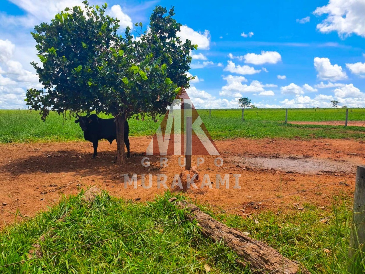 Fazenda-Sítio-Chácara, 2531 m² - Foto 8