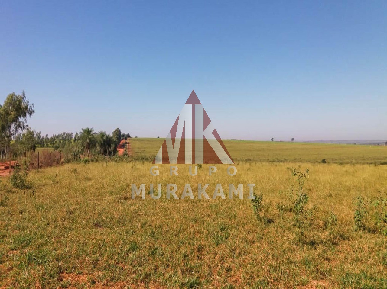 Fazenda-Sítio-Chácara, 2000 m² - Foto 4