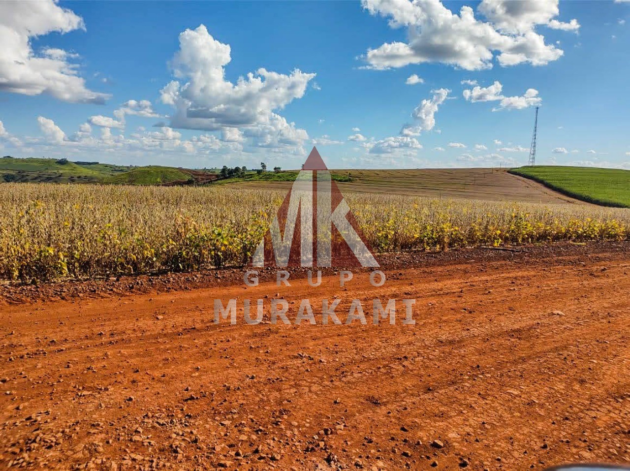 Fazenda-Sítio-Chácara, 100 m² - Foto 5