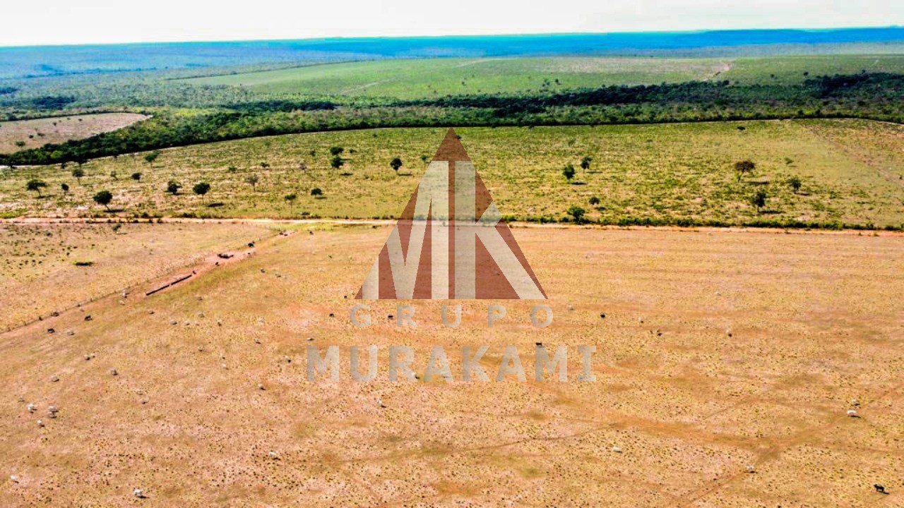 Fazenda-Sítio-Chácara, 8703 m² - Foto 6