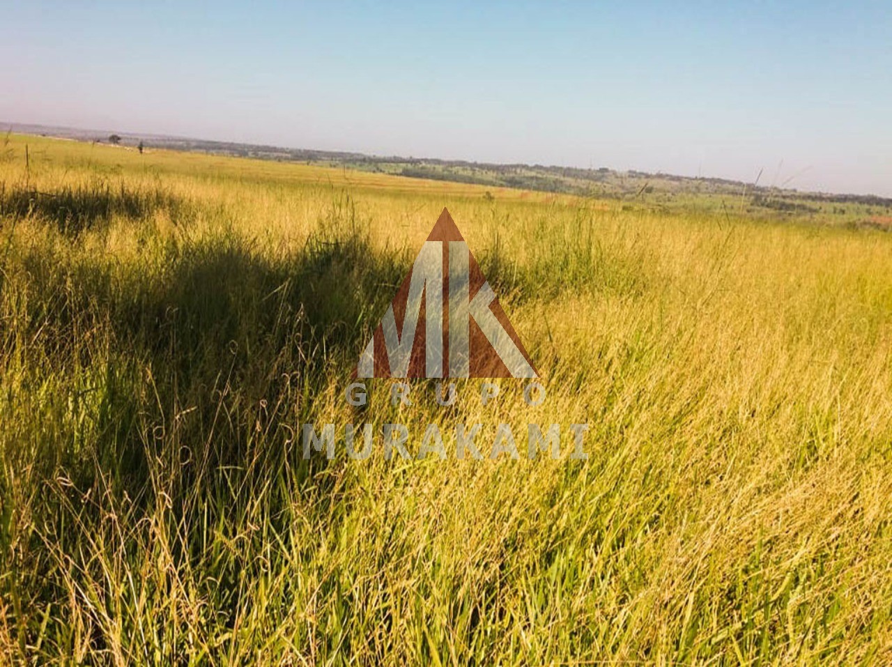 Fazenda-Sítio-Chácara, 2000 m² - Foto 3