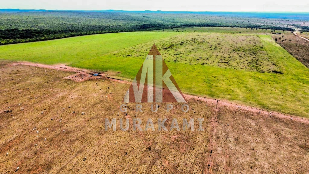 Fazenda-Sítio-Chácara, 8703 m² - Foto 11