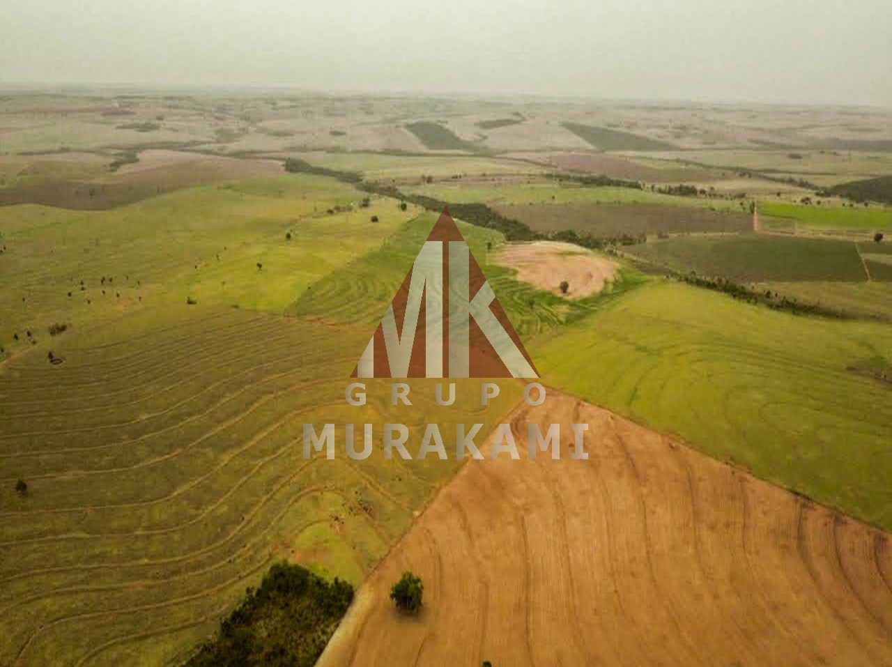 Fazenda à venda com 6 quartos, 971m² - Foto 3