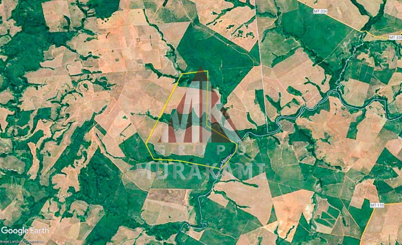 Fazenda-Sítio-Chácara, 8703 m² - Foto 13