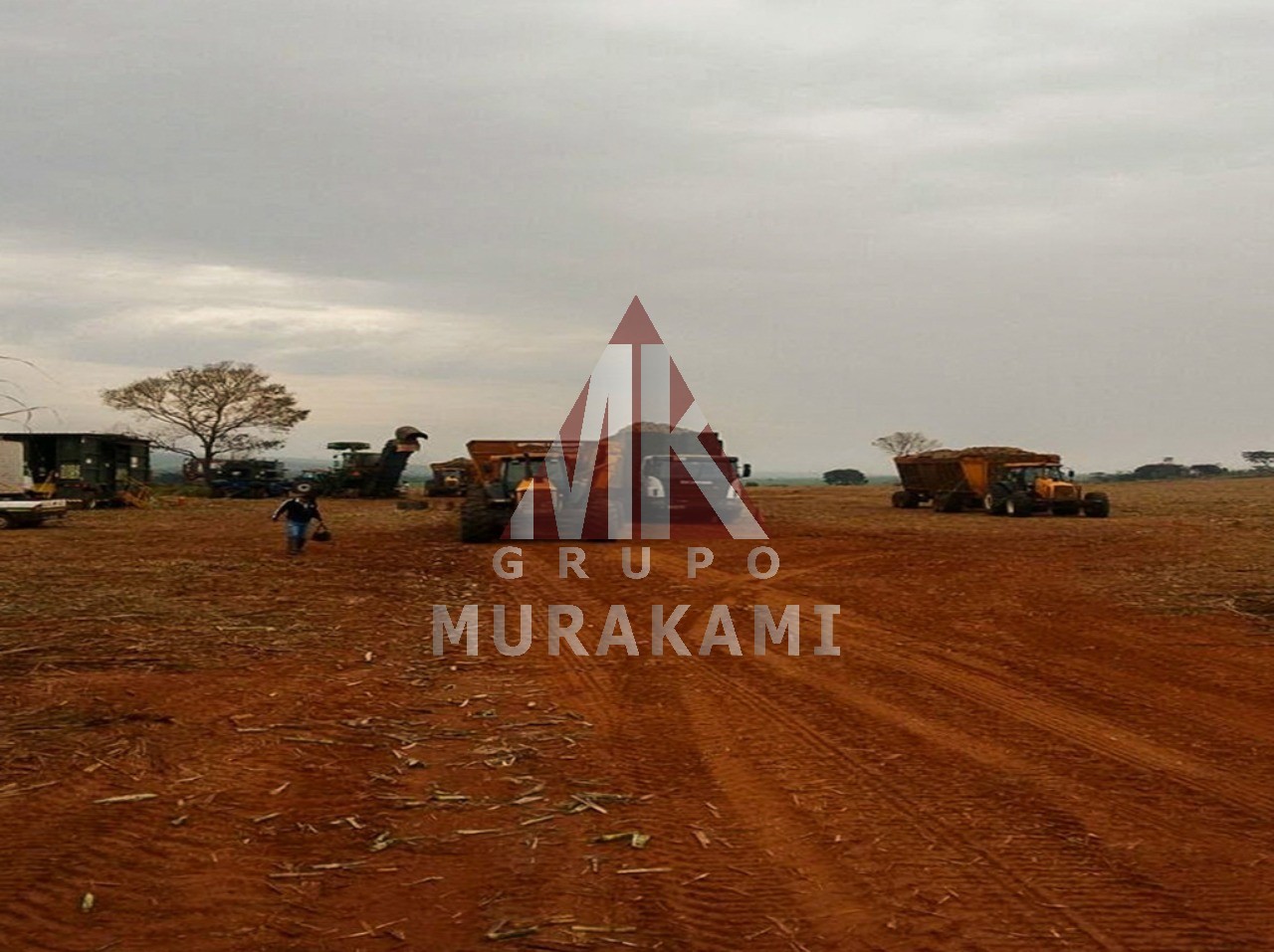 Fazenda-Sítio-Chácara, 1275 m² - Foto 9