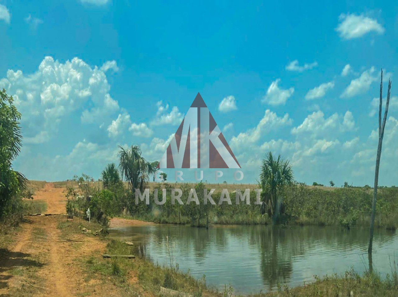 Fazenda à venda com 1 quarto, 8800m² - Foto 4
