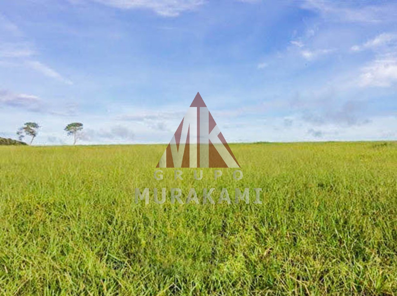 Fazenda à venda com 1 quarto, 10830m² - Foto 2