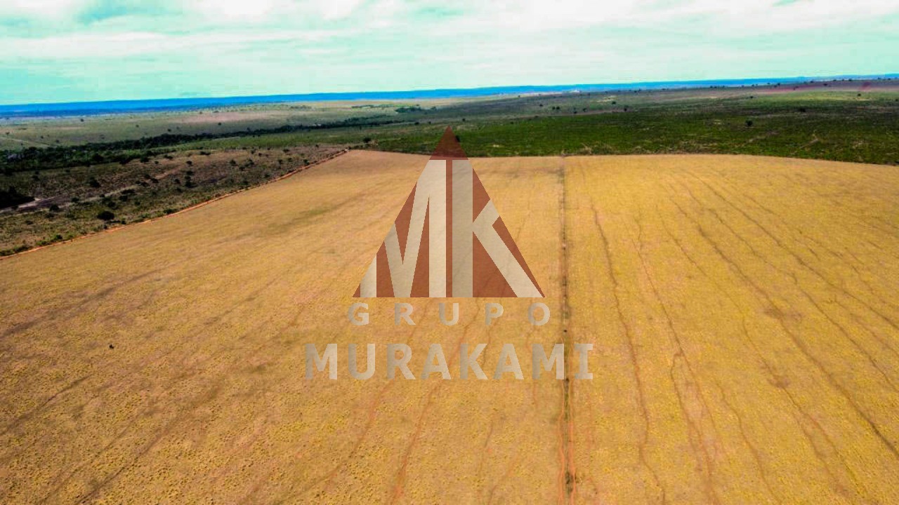 Fazenda-Sítio-Chácara, 8703 m² - Foto 3