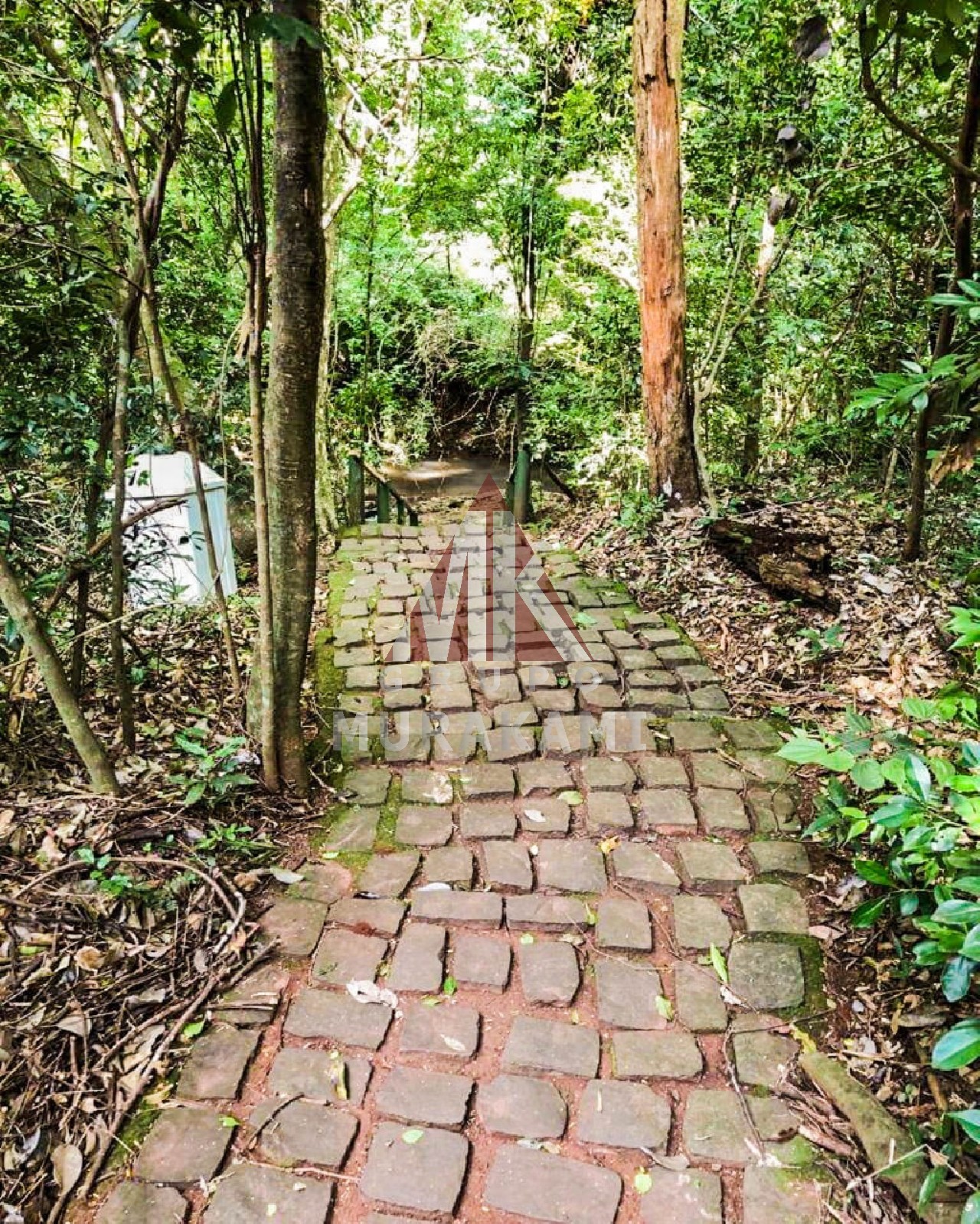 Casa de Condomínio, 4 quartos - Foto 28