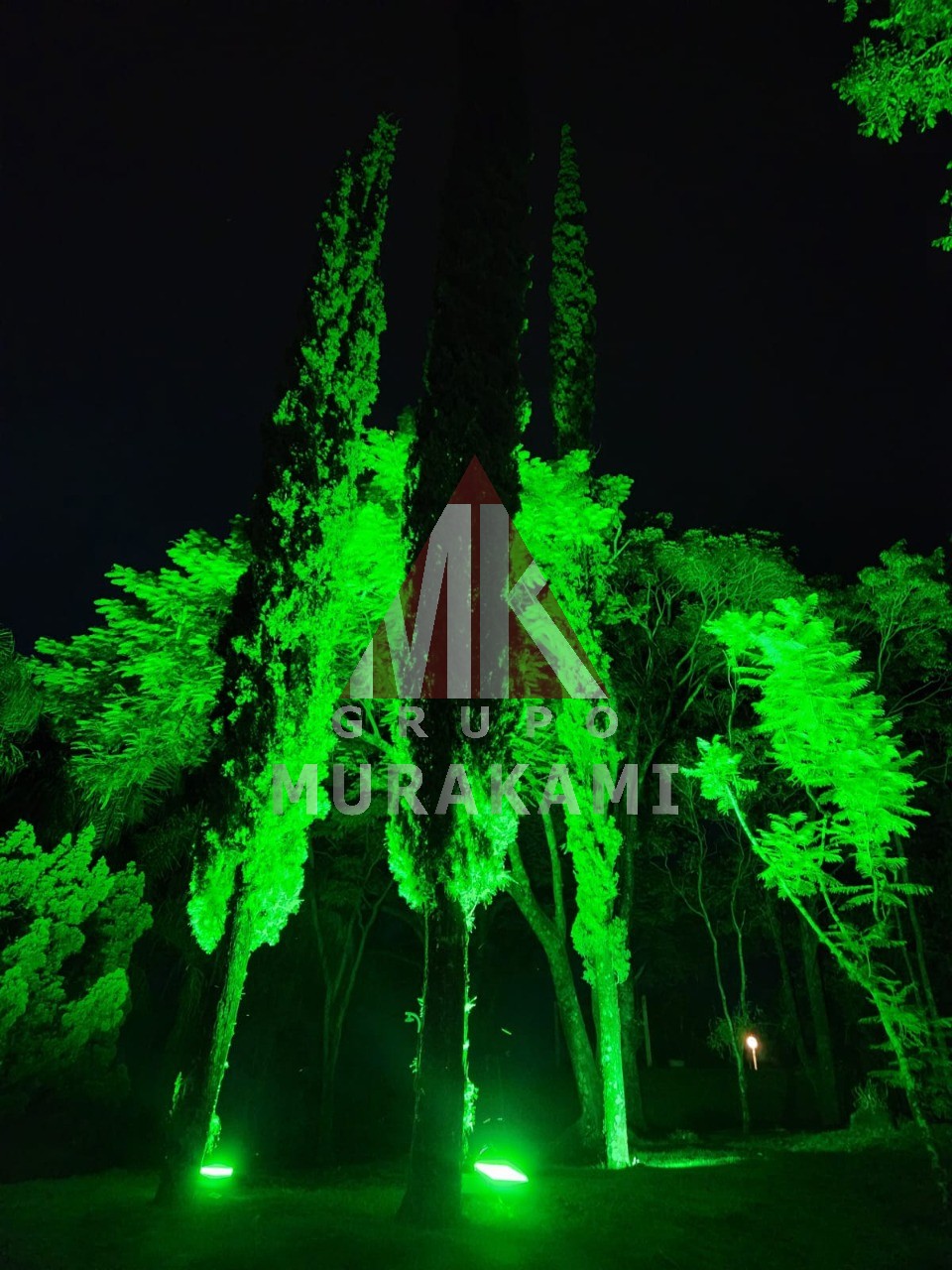 Casa de Condomínio - Foto 59