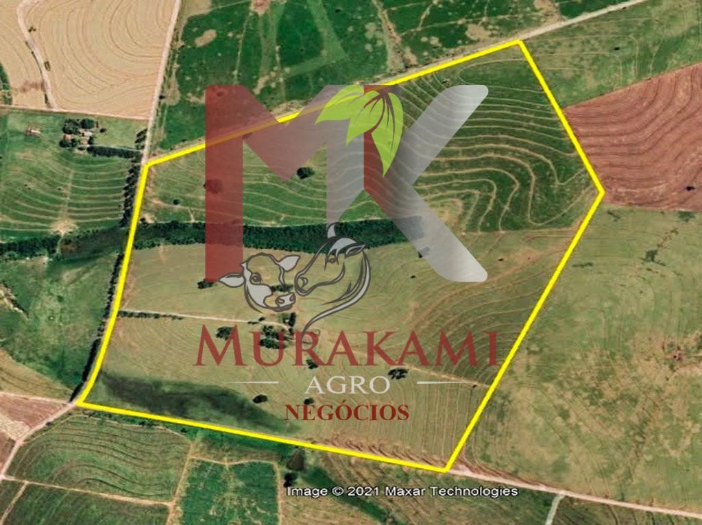 Fazenda à venda com 6 quartos, 971m² - Foto 7