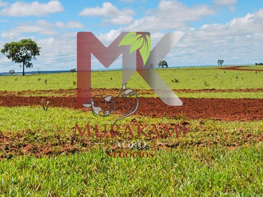 Fazenda à venda com 2 quartos - Foto 12