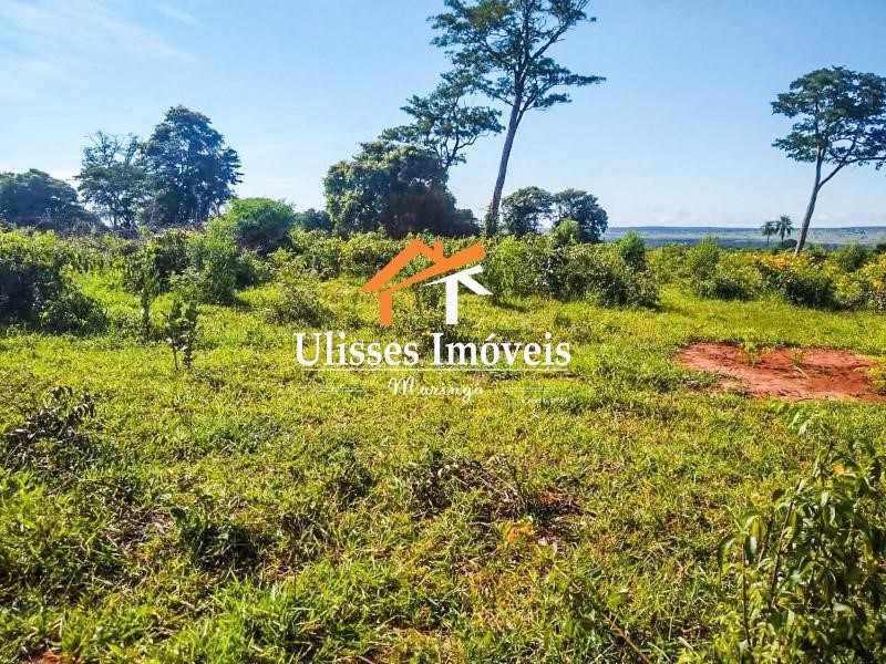 Fazenda à venda - Foto 17