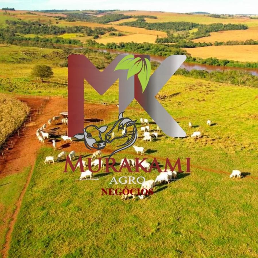 Fazenda à venda, 55m² - Foto 1