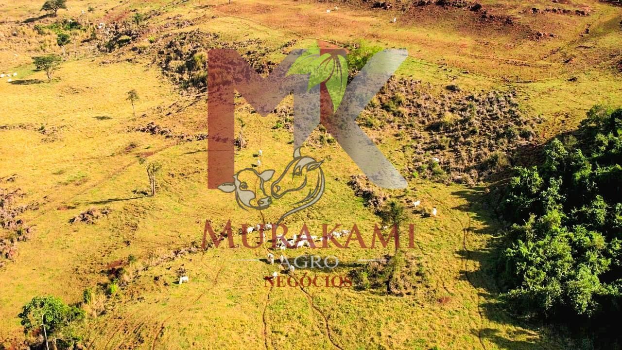 Fazenda à venda, 95m² - Foto 11