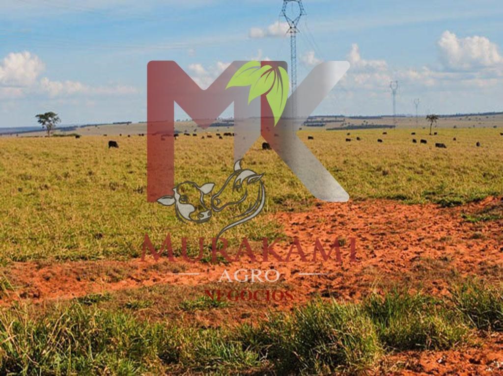 Fazenda à venda com 2 quartos - Foto 10