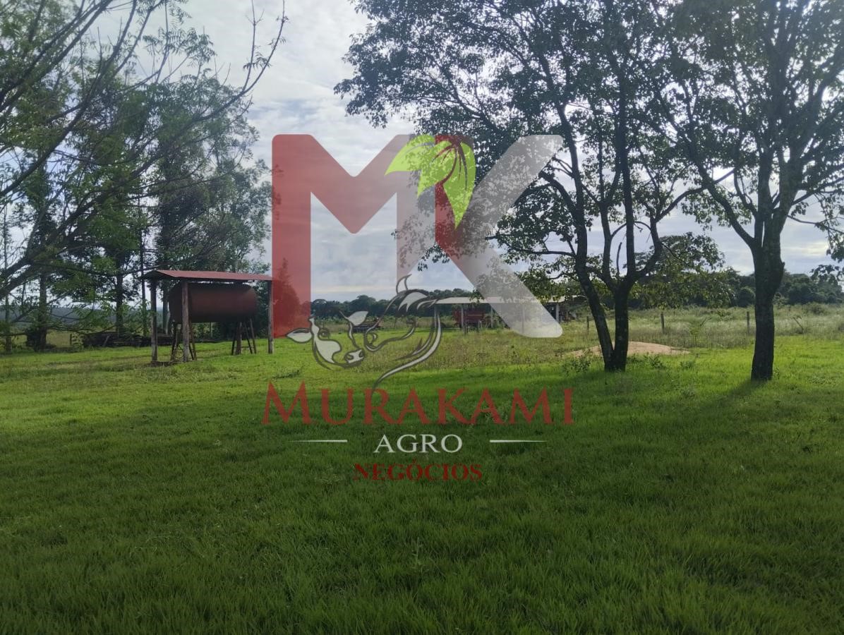Fazenda à venda com 2 quartos, 1815m² - Foto 5
