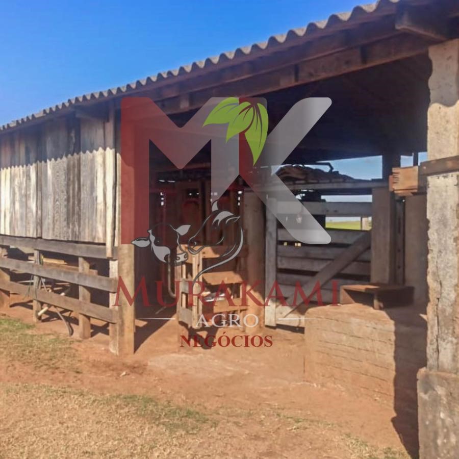 Fazenda à venda, 250m² - Foto 10