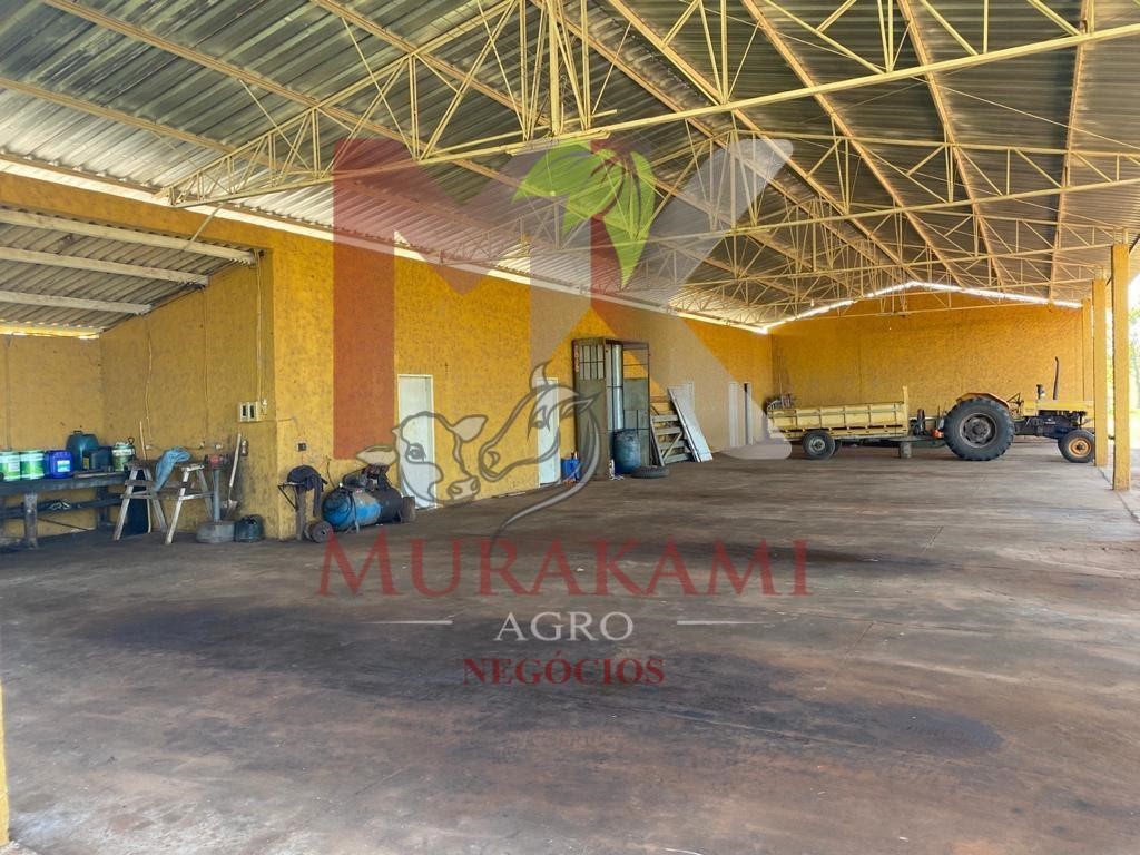 Fazenda à venda com 2 quartos, 3810m² - Foto 4
