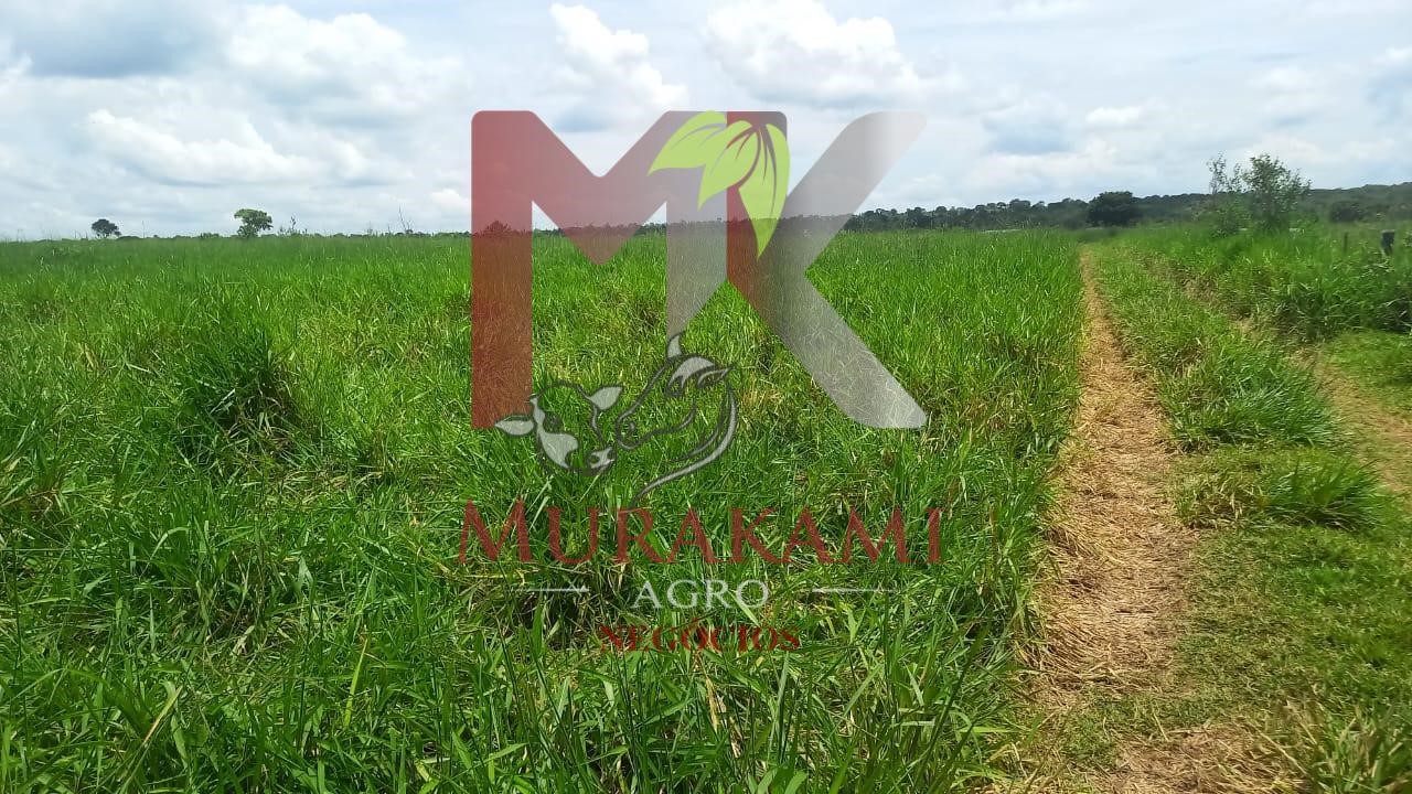 Fazenda à venda, 880m² - Foto 45