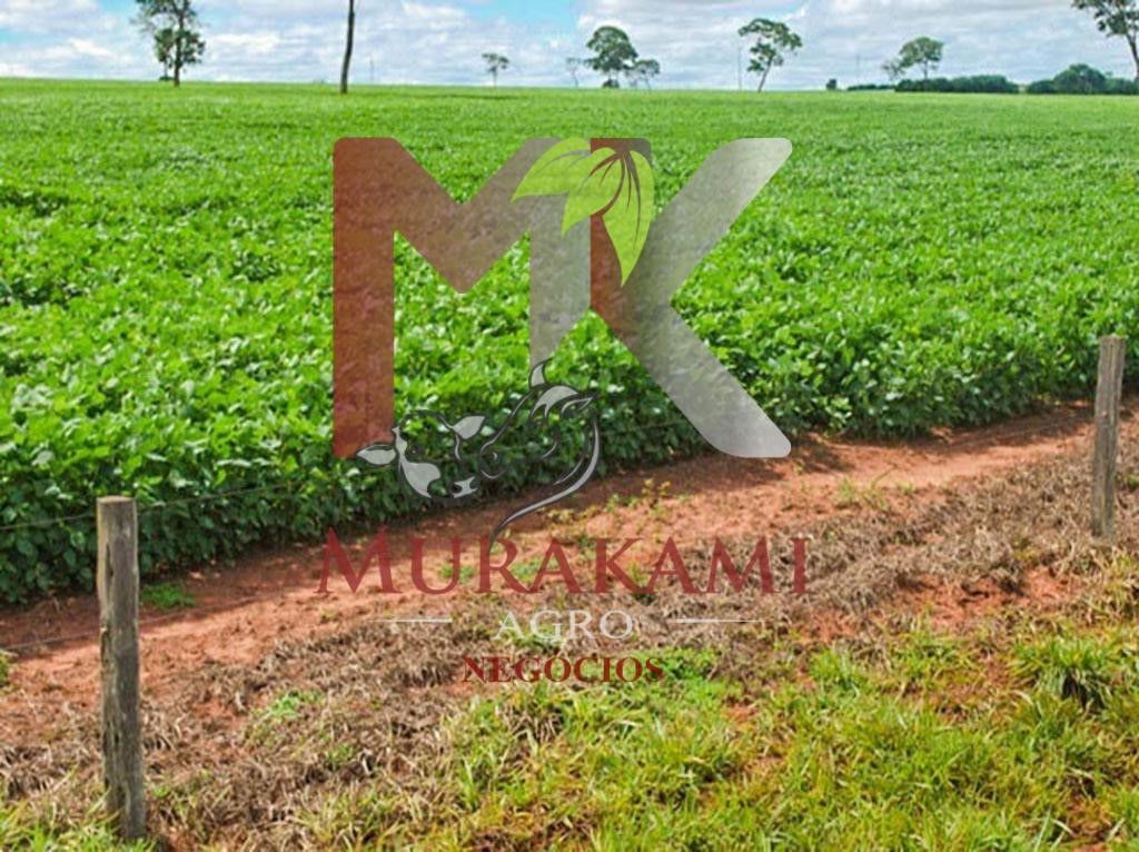 Fazenda à venda com 2 quartos - Foto 9