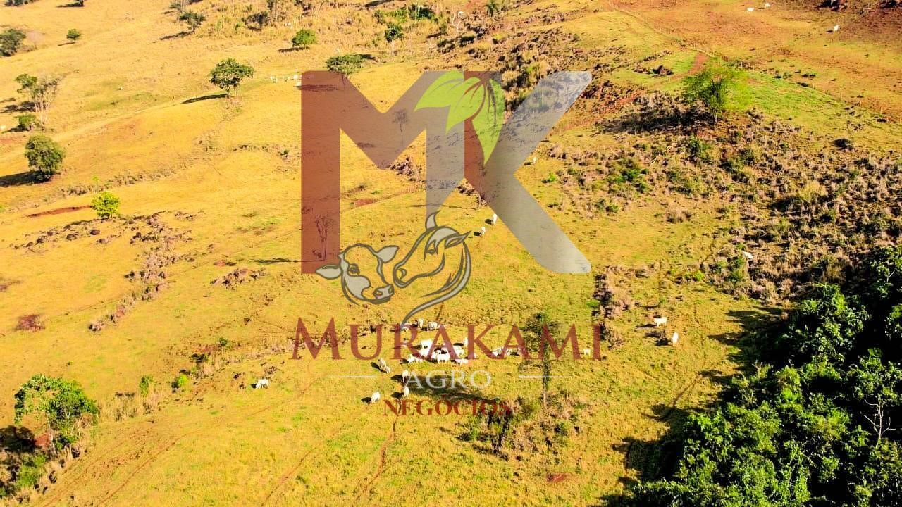 Fazenda à venda, 95m² - Foto 4