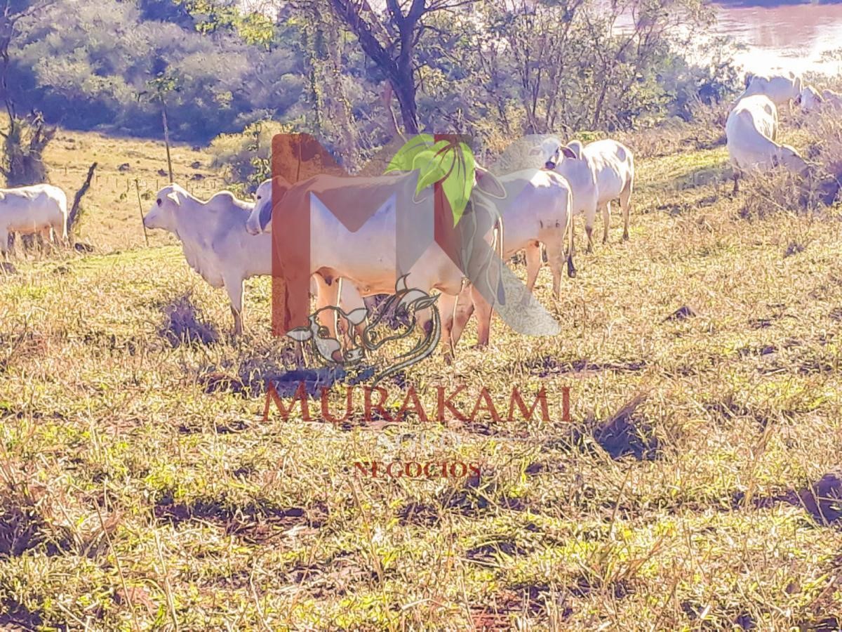 Fazenda à venda, 95m² - Foto 12